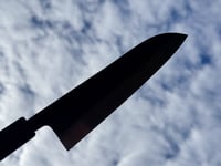 Image 3 of 182MM GYUTO #309