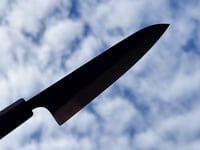 Image 3 of 150MM PETIT #311