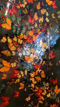 Image 4 of Original Canvas - Butterflies on Heather Grey - 36" x 60"