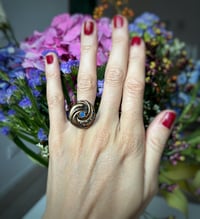 Image 2 of Anello Ferrara