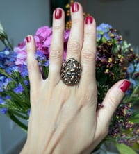 Anello Padova
