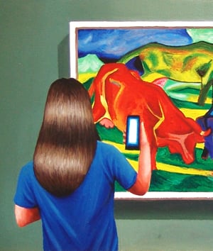 Image of Bulls Fighting