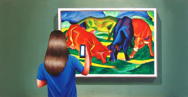 Image of Bulls Fighting