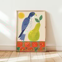 Image 2 of P is for Peregrine Print