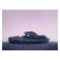 Image 1 of Refuge
