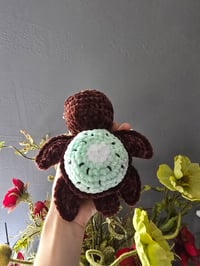 Image 5 of Fruit Turtles 