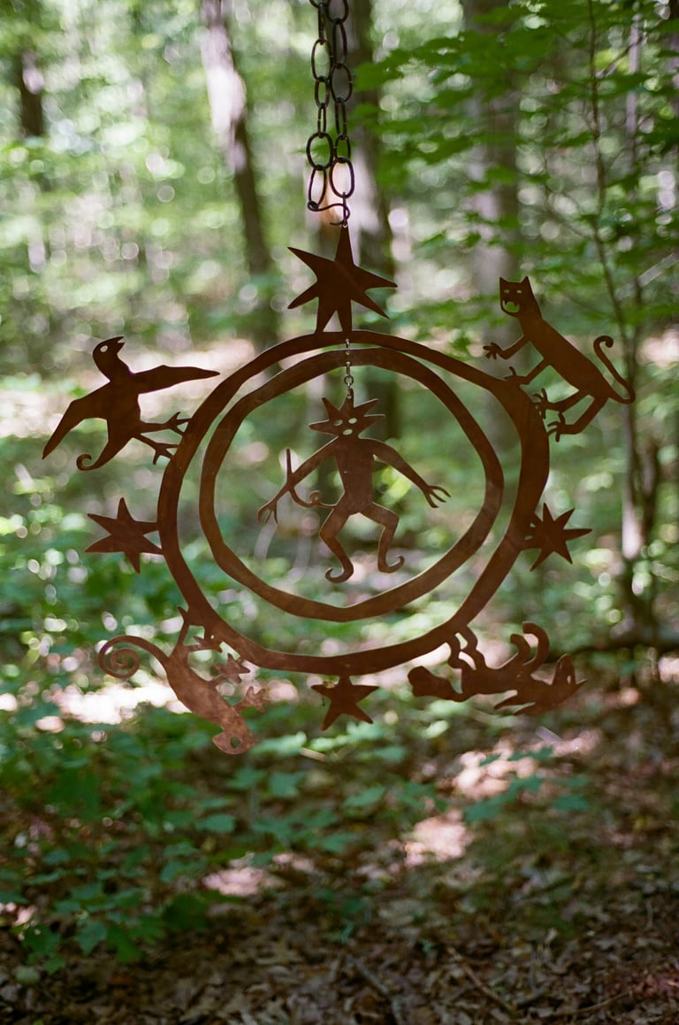 dancing circles beneath the stars that do not move Image 2