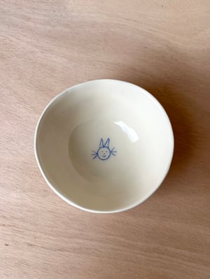 CAT bowl no. 2