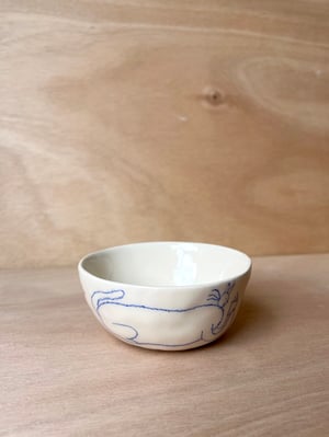CAT bowl no. 2