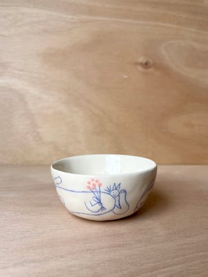 CAT bowl no. 2