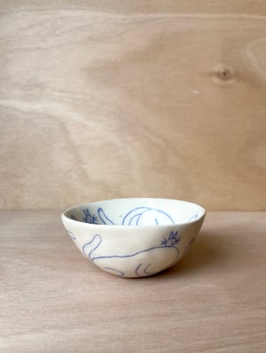 CAT bowl no. 3
