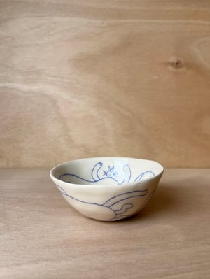 CAT bowl no. 3