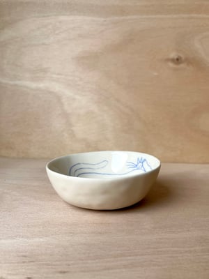 CAT bowl no. 4