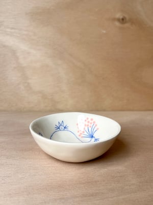 CAT bowl no. 5