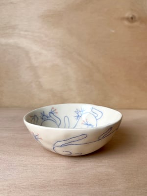 CAT bowl no. 6