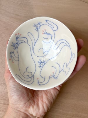 CAT bowl no. 6