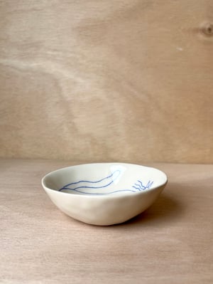 CAT bowl no. 7