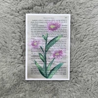 "Pink Cosmos" Book Page Print 