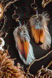 Image 2 of Hen feathers