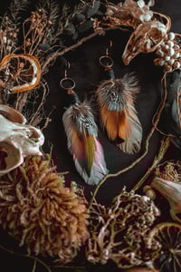 Image 3 of Hen feathers