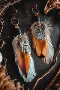 Image 4 of Hen feathers