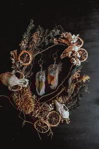 Image 5 of Hen feathers