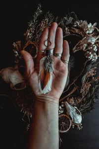 Image 6 of Hen feathers