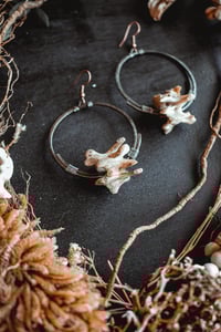 Image 3 of Raccoon bone hoops