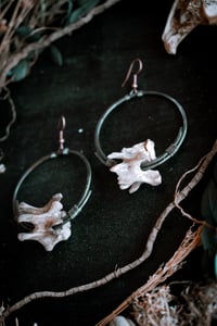 Image 5 of Raccoon bone hoops