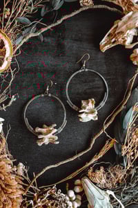 Image 2 of Raccoon bone hoops