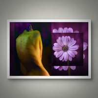 Image 2 of 'Purple & 'Green