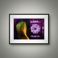 Image 3 of 'Purple & 'Green