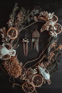 Image 7 of Transform