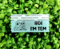 Image 1 of Tem Ribbon