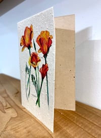 Image 2 of 'Poppy' Seed Cards