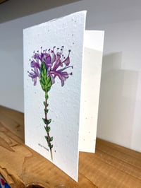 Image 2 of 'Wild Thyme' Seed Cards
