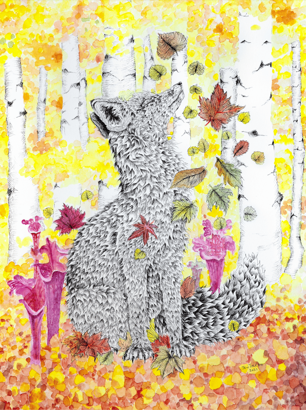 Image of Fall Fox