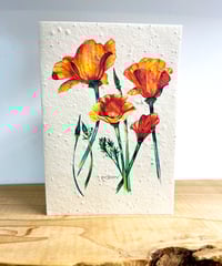 Image 1 of 'Poppy' Seed Cards