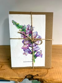 Image 3 of 'Snapdragon' Seed Cards