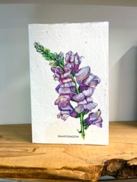 Image 1 of 'Snapdragon' Seed Cards