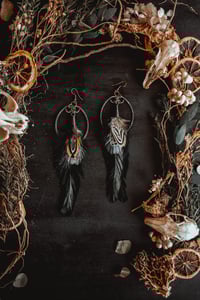Image 5 of Midnight feathers