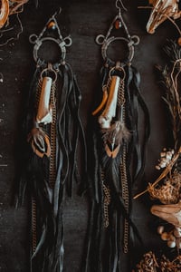 Image 4 of Nightshade 