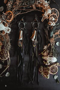 Image 3 of Nightshade 