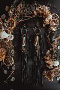 Image 7 of Nightshade 