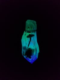 Image 2 of Mini - Whimsy Glow Pendant 011