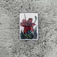 "Red Lily" Sticker 