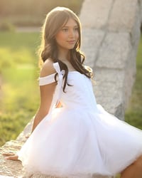 Image 3 of Swan Corset Dress