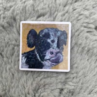 "Cow Study" Holographic Sticker 