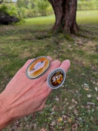 Image 5 of Baltic Amber Ring Sterling Silver 
