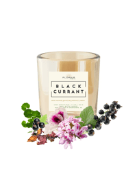 Image 1 of BLACK CURRANT candles + scented products